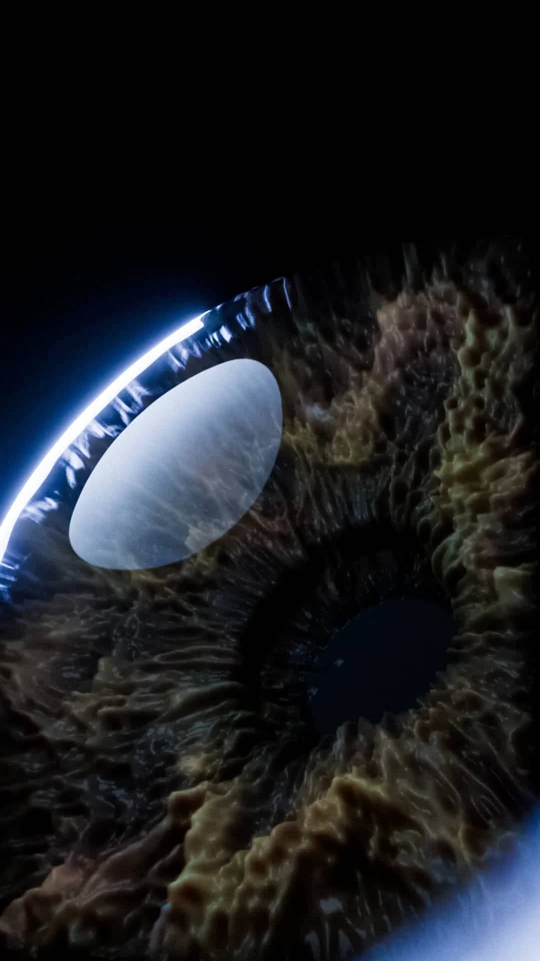 Macro Iris Model