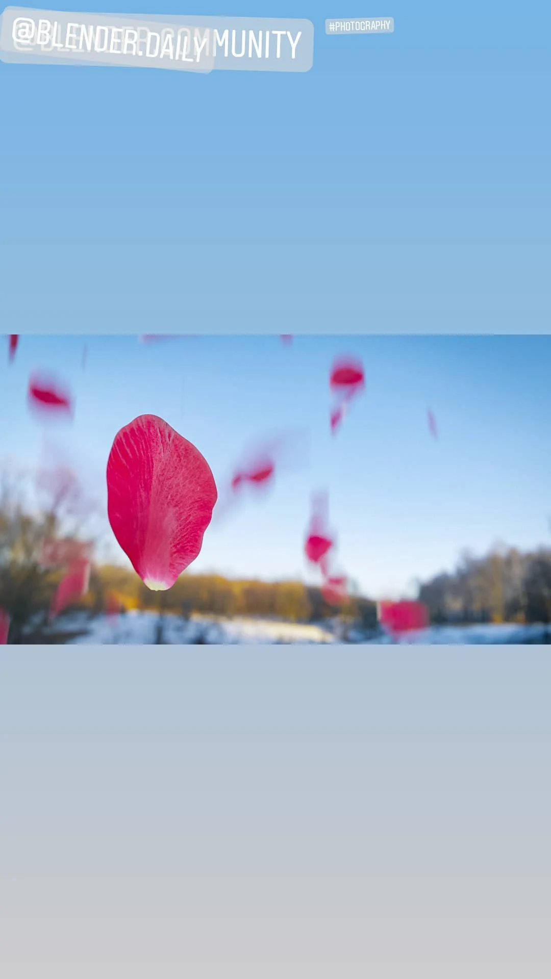 Rose Render Blur HDR